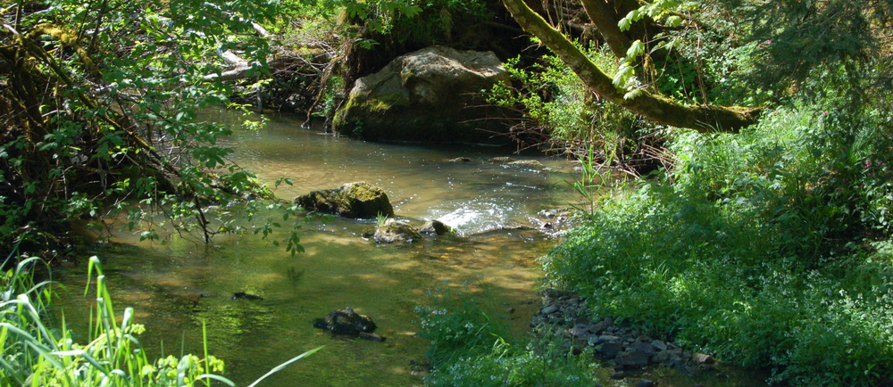 kraftvolle Natur rundherum
